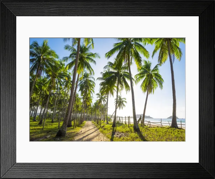 Framed Print : Dirt path through a palm tree plantation at Nacpan Beach, El Nido, Palawan, Philippines Framed Print : Dirt path through a palm tree plantation at Nacpan Beach, El Nido, Palawan, Philippines