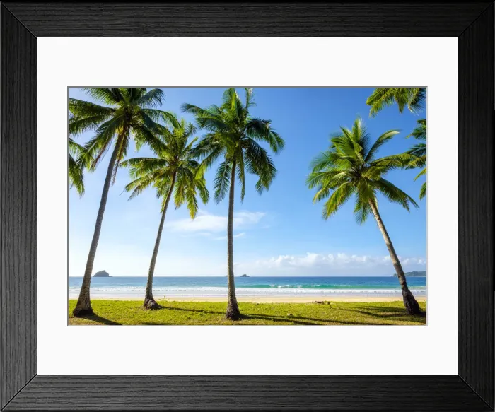 Framed Print : Palm trees on Nacpan Beach, El Nido, Palawan, Philippines Framed Print : Palm trees on Nacpan Beach, El Nido, Palawan, Philippines