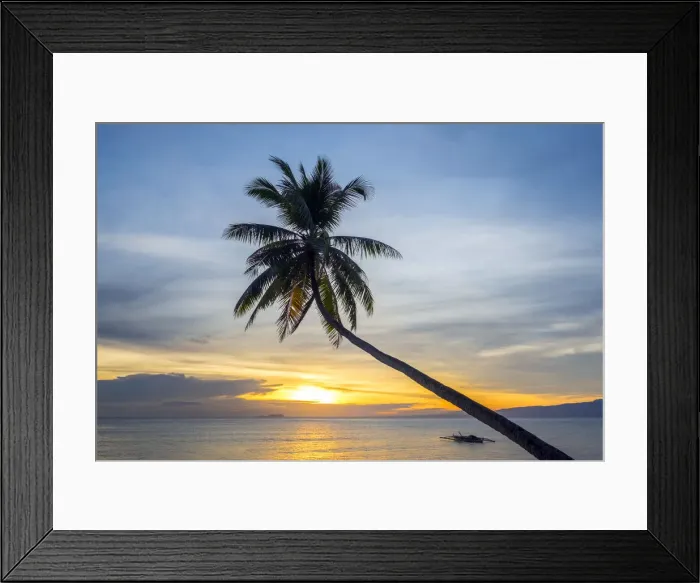 Framed Print : Palm tree silhouetted against the sunset, Paliton Beach, San Juan, Siquijor Island Framed Print : Palm tree silhouetted against the sunset, Paliton Beach, San Juan, Siquijor Island