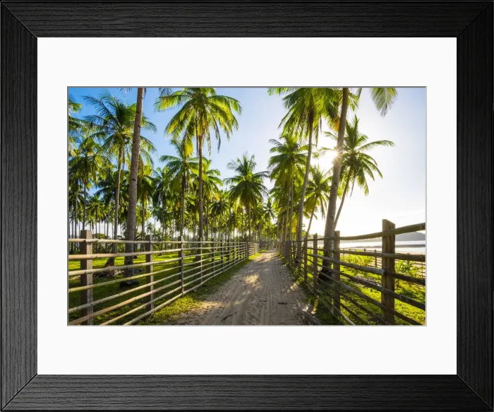 Framed Print : Dirt path through a palm tree plantation at Nacpan Beach, El Nido, Palawan, Philippines Framed Print : Dirt path through a palm tree plantation at Nacpan Beach, El Nido, Palawan, Philippines