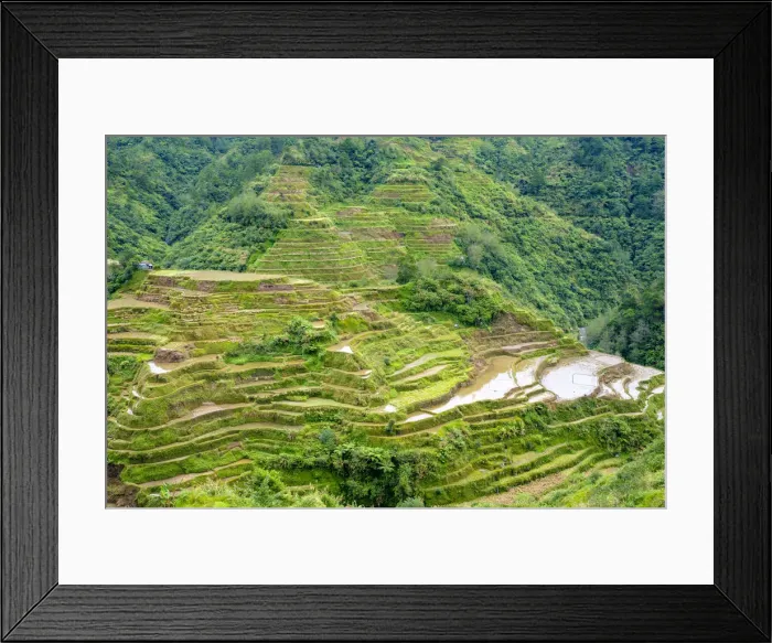 Framed Print : Banaue rice terraces in early spring, Mountain Province, Cordillera Administrative Region Framed Print : Banaue rice terraces in early spring, Mountain Province, Cordillera Administrative Region