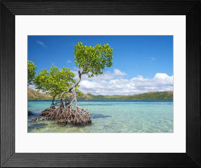 Framed Print : CYC Island, Coron, Palawan, Philippines Framed Print : CYC Island, Coron, Palawan, Philippines