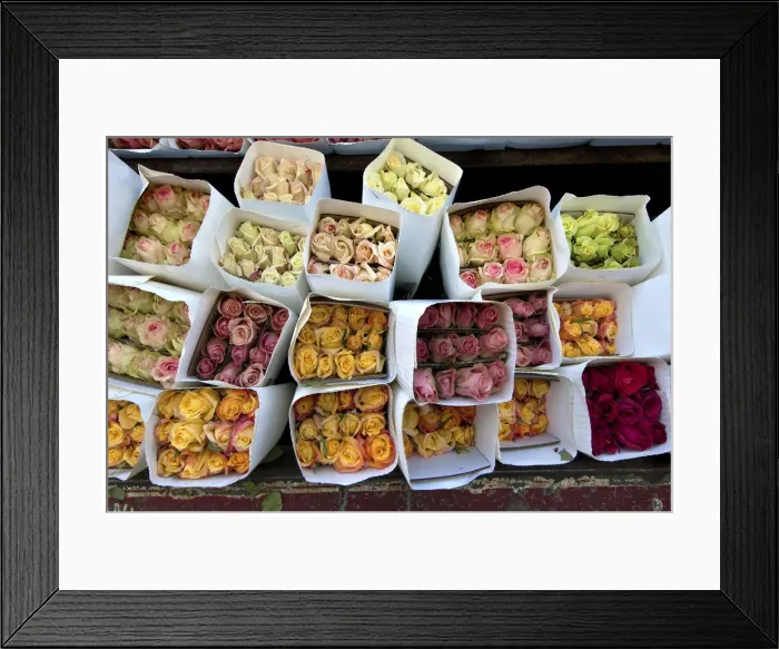 Framed Print : Colombia, Bogota, Paloquemao Flower Market, Roses For Sale Framed Print : Colombia, Bogota, Paloquemao Flower Market, Roses For Sale