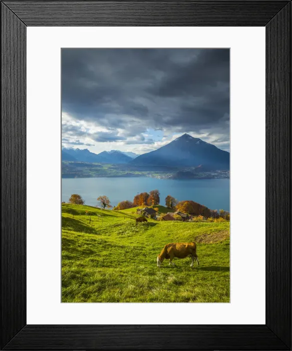 Framed Print : Niesen mountain and Lake Thun, Berner Oberland, Switzerland