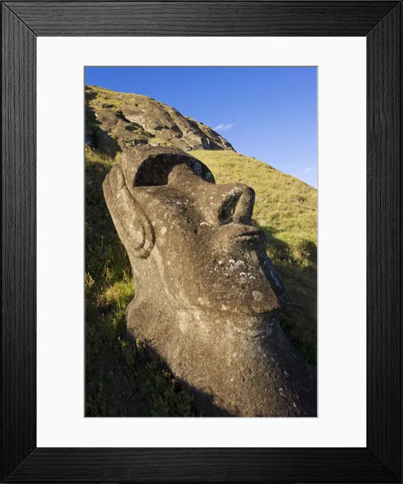 Framed Print : Chile, Rapa Nui, Easter Island, giant monolithic stone Maoi statue at Rano Raraku Framed Print : Chile, Rapa Nui, Easter Island, giant monolithic stone Maoi statue at Rano Raraku