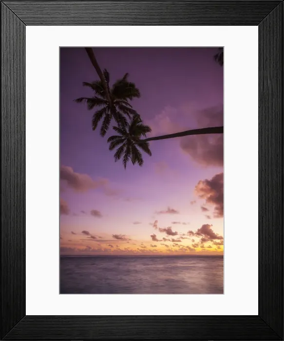 Framed Print : Cook Islands, Aitutaki Atoll, beach and palm trees silhouette Framed Print : Cook Islands, Aitutaki Atoll, beach and palm trees silhouette