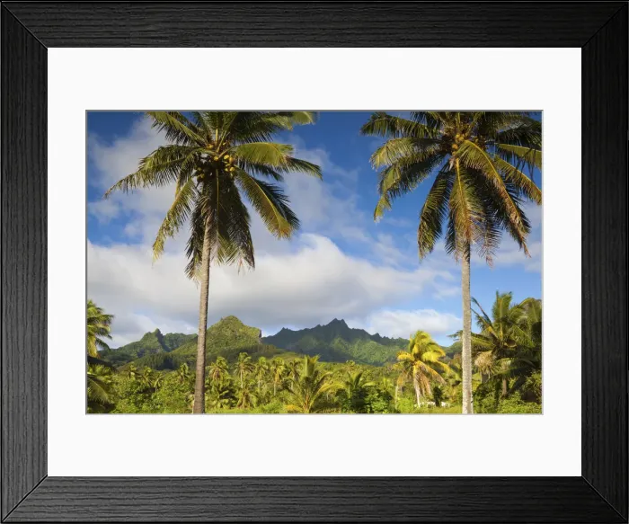 Framed Print : Rarotonga, Cook Islands, South Pacific Framed Print : Rarotonga, Cook Islands, South Pacific