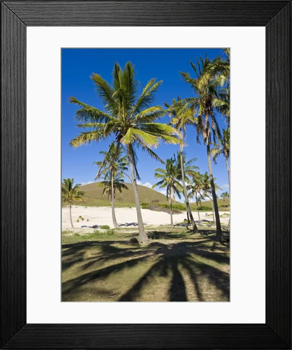 Framed Print : Chile, Rapa Nui, Easter Island, Anakena beach Framed Print : Chile, Rapa Nui, Easter Island, Anakena beach
