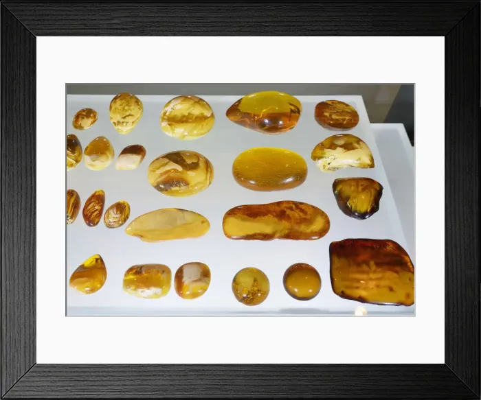 Framed Print : Baltic amber, the gold of the Baltic, in the Amber museum. Gdansk, Poland Framed Print : Baltic amber, the gold of the Baltic, in the Amber museum. Gdansk, Poland