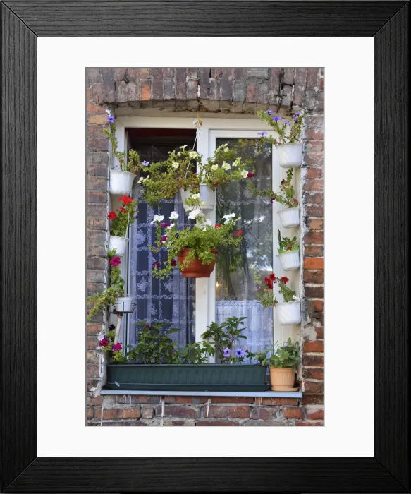 Framed Print : A window with flowers among the remaining buildings of the fierce fighting between Framed Print : A window with flowers among the remaining buildings of the fierce fighting between