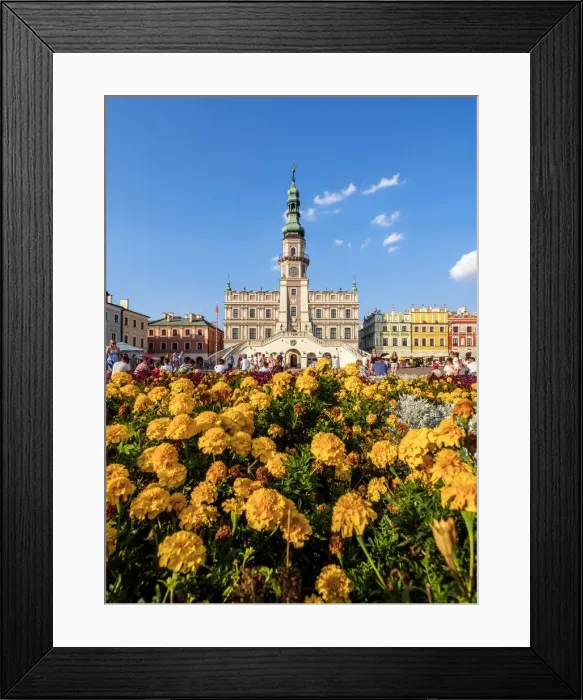 Framed Print : Poland, Lublin Voivodeship, Zamosc, Old Town, Market Square and City Hall Framed Print : Poland, Lublin Voivodeship, Zamosc, Old Town, Market Square and City Hall