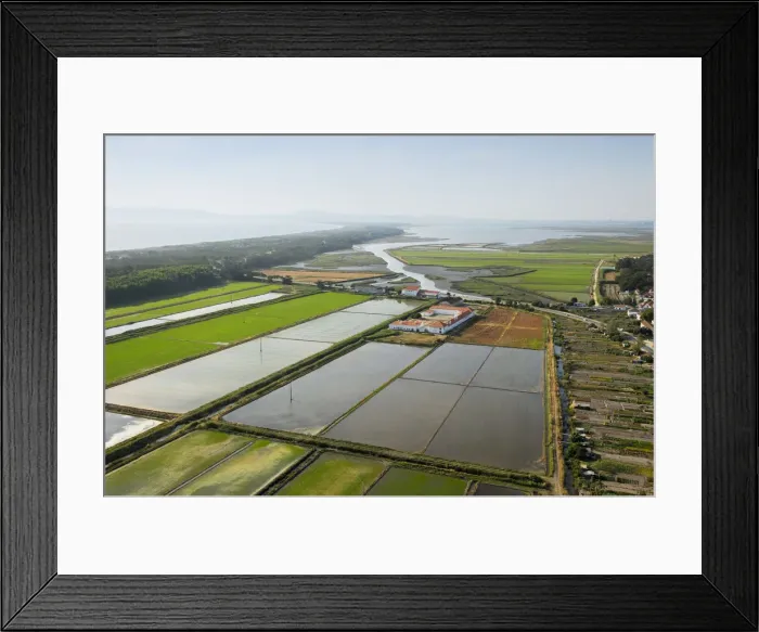 Framed Print : Aerial view of rice fields. Comporta, Alentejo, Portugal Framed Print : Aerial view of rice fields. Comporta, Alentejo, Portugal