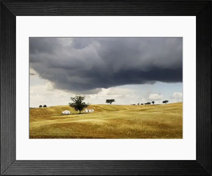 Framed Print : The vast plains of Alentejo with cork trees Framed Print : The vast plains of Alentejo with cork trees