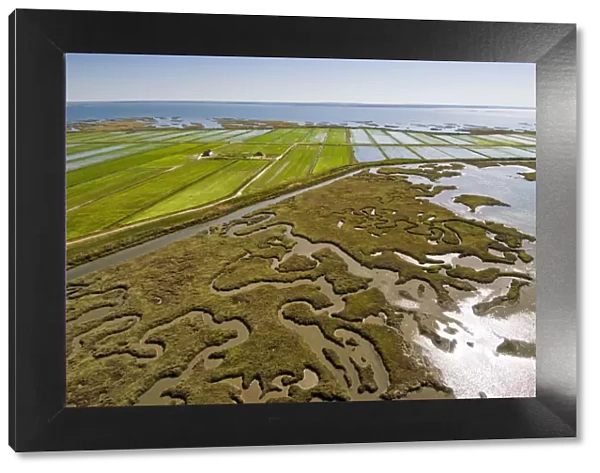 Aerial view of rice fields and marshes along the Sado river. Comporta, Alentejo, Portugal