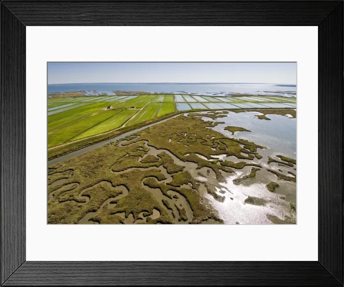 Framed Print : Aerial view of rice fields and marshes along the Sado river. Comporta, Alentejo, Portugal Framed Print : Aerial view of rice fields and marshes along the Sado river. Comporta, Alentejo, Portugal