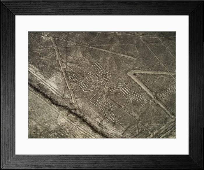 Framed Print : The Spider Geoglyph, aerial view, Nazca, Ica Region, Peru Framed Print : The Spider Geoglyph, aerial view, Nazca, Ica Region, Peru