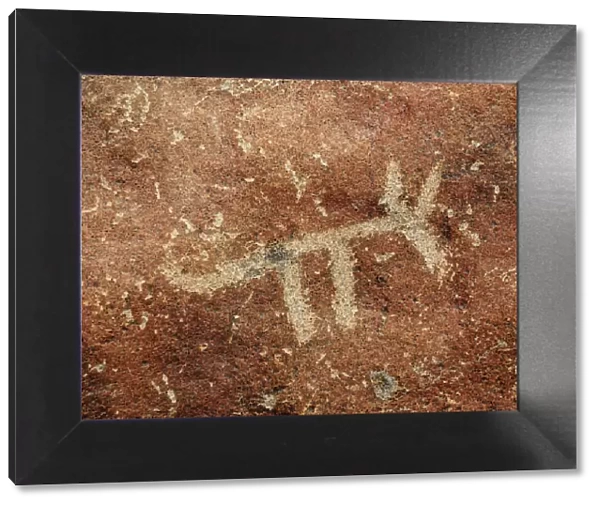 Animal Petroglyph, Palpa, Ica Region, Peru