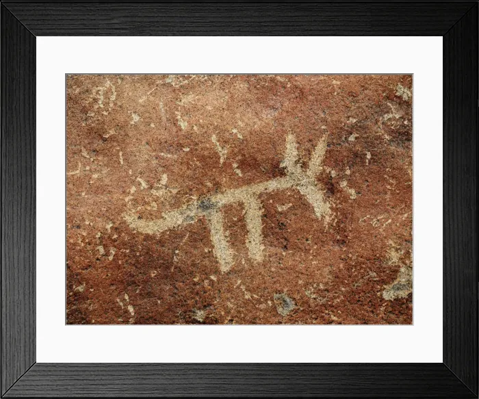 Framed Print : Animal Petroglyph, Palpa, Ica Region, Peru Framed Print : Animal Petroglyph, Palpa, Ica Region, Peru