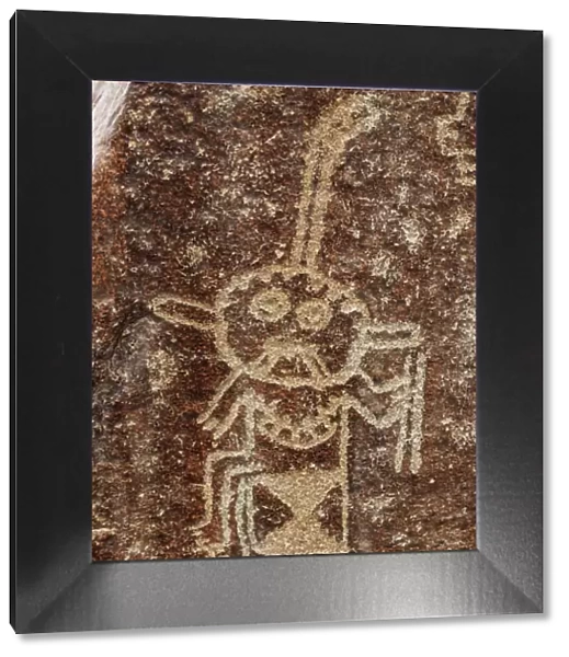 The Stages of Life Petroglyph, detailed view, Palpa, Ica Region, Peru
