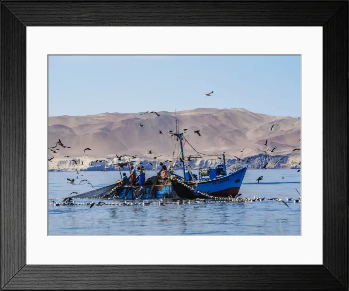 Framed Print : Fishing Boat near Paracas, Ica Region, Peru Framed Print : Fishing Boat near Paracas, Ica Region, Peru