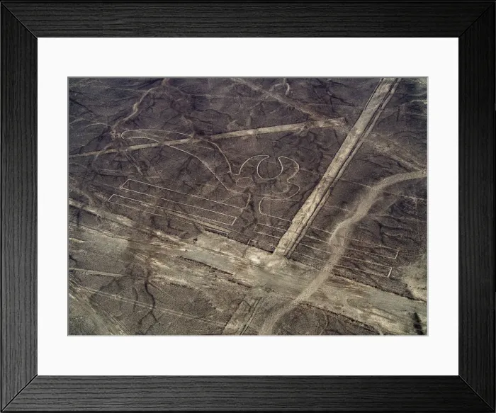 Framed Print : The Parrot Geoglyph, aerial view, Nazca, Ica Region, Peru Framed Print : The Parrot Geoglyph, aerial view, Nazca, Ica Region, Peru
