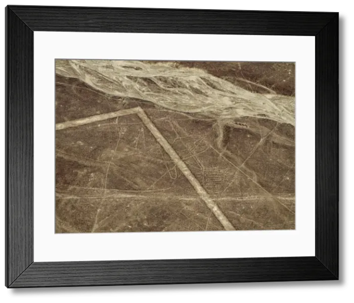 Framed Print : The Whale Geoglyph, aerial view, Nazca, Ica Region, Peru Framed Print : The Whale Geoglyph, aerial view, Nazca, Ica Region, Peru