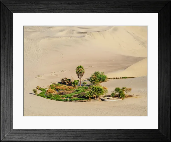 Framed Print : Small Oasis near Huacachina, Ica Region, Peru Framed Print : Small Oasis near Huacachina, Ica Region, Peru
