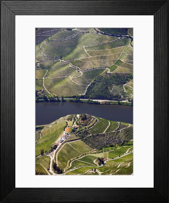 Framed Print : Europe, Portugal, Tras-os-Montes e Alto Douro, Douro Valley aerial view of vineyards Framed Print : Europe, Portugal, Tras-os-Montes e Alto Douro, Douro Valley aerial view of vineyards