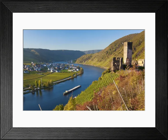 Framed Print : Germany, Rhineland-Palatinate, Rheinland-Pfalz, Metternich Castle ruins overlooking Framed Print : Germany, Rhineland-Palatinate, Rheinland-Pfalz, Metternich Castle ruins overlooking