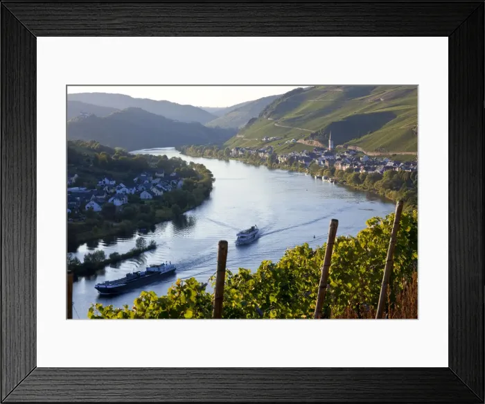 Framed Print : View over vineyards & Mosel River towards Kaimt Mosel Village, Mosel Valley Framed Print : View over vineyards & Mosel River towards Kaimt Mosel Village, Mosel Valley