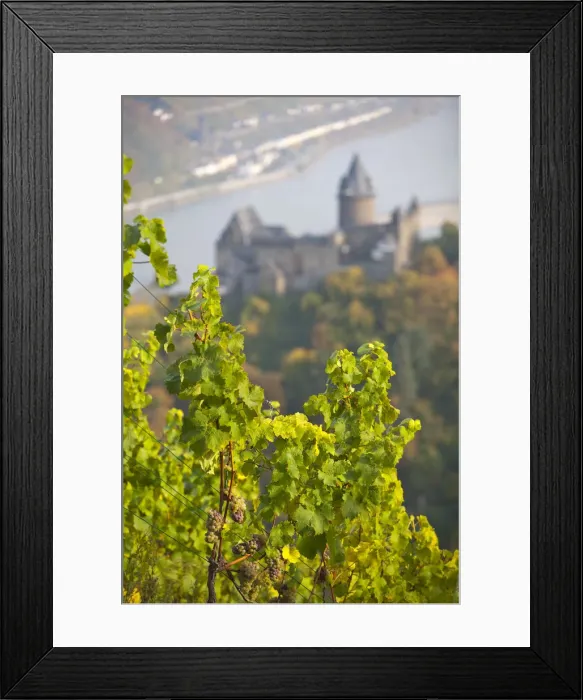 Framed Print : Burg Stahleck & Vineyard, Bacharach, Rhine Valley, Germany Framed Print : Burg Stahleck & Vineyard, Bacharach, Rhine Valley, Germany