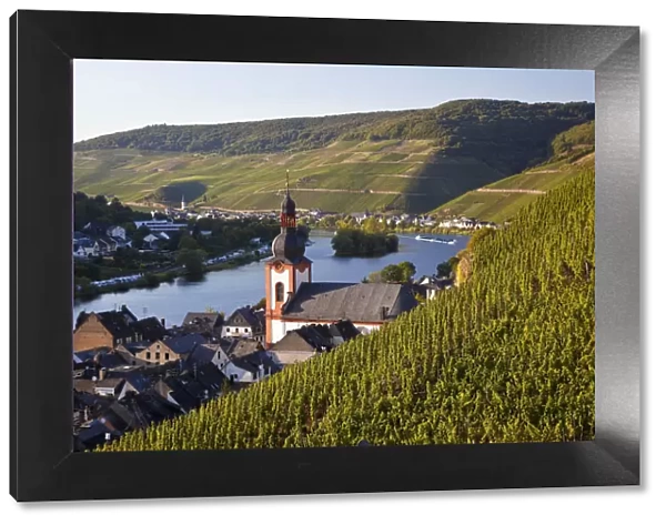 Vineyards & Zell Mosel Village, Mosel Valley, Germany