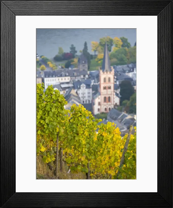 Framed Print : St. Peters church & Vine Row, Bacharach, Rhine Valley, Germany Framed Print : St. Peters church & Vine Row, Bacharach, Rhine Valley, Germany