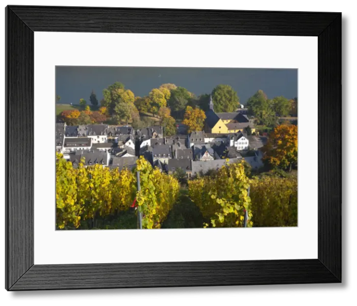 Framed Print : Vine Rows, Bacharach, Rhine Valley, Germany Framed Print : Vine Rows, Bacharach, Rhine Valley, Germany