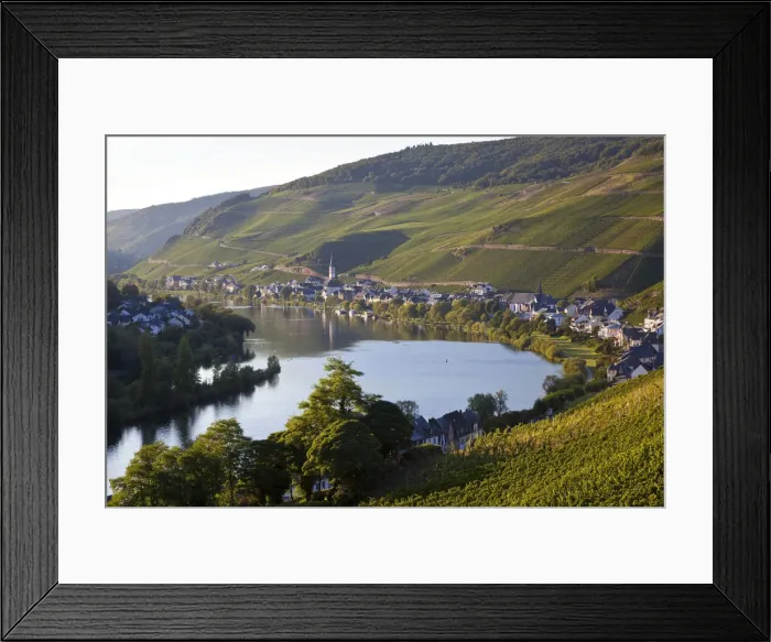 Framed Print : View over vineyards & Mosel River towards Kaimt Mosel Village, Mosel Valley Framed Print : View over vineyards & Mosel River towards Kaimt Mosel Village, Mosel Valley