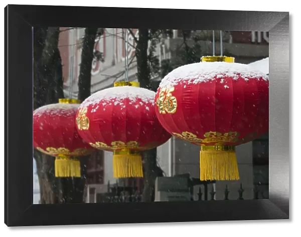 China, Shandong Province, Qingdao, Old Town, Red Lanterns outside Qingdao Aquarium