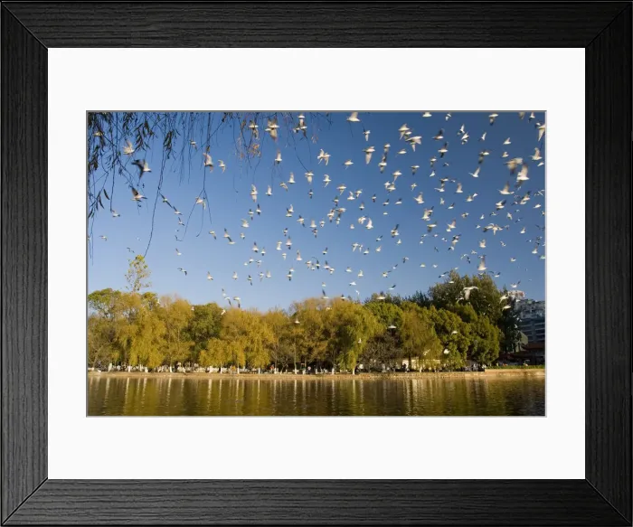 Framed Print : Green Lake Park ( Cuihu Gongyuan), Kunming, Yunnan Province, China Framed Print : Green Lake Park ( Cuihu Gongyuan), Kunming, Yunnan Province, China