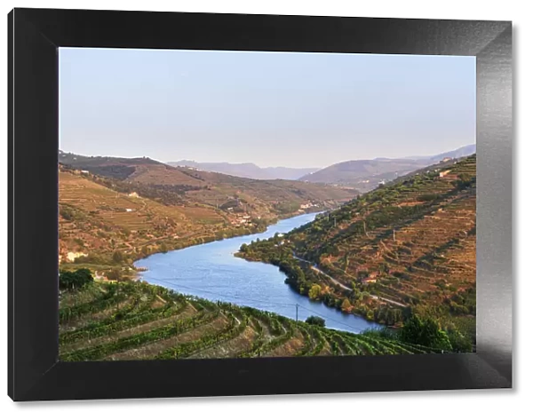 The Douro river and the terraced vineyards of the Port wine near Mesao Frio
