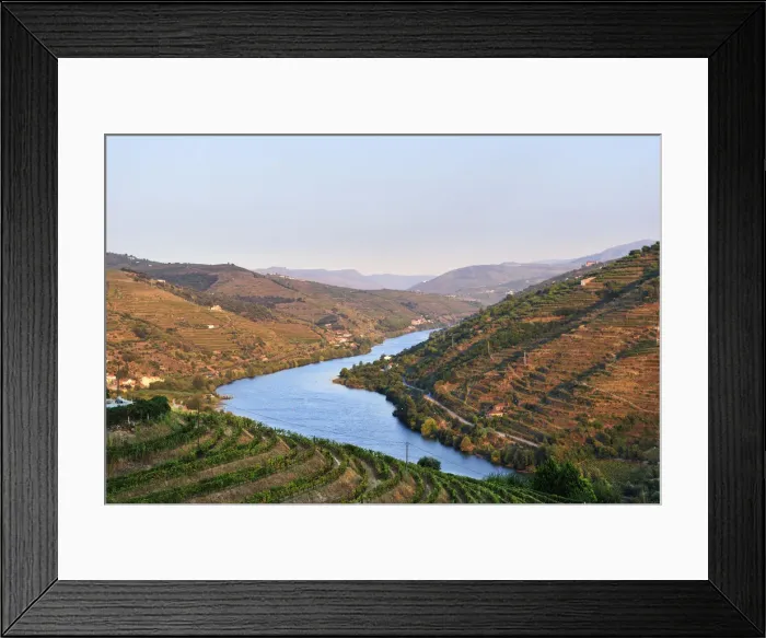 Framed Print : The Douro river and the terraced vineyards of the Port wine near Mesao Frio Framed Print : The Douro river and the terraced vineyards of the Port wine near Mesao Frio