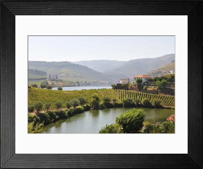 Framed Print : The Douro river and the terraced vineyards of the Port wine in Covelinhas Framed Print : The Douro river and the terraced vineyards of the Port wine in Covelinhas