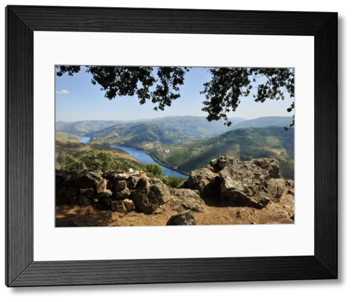 Framed Print : The Douro river seen from the top of a mountain, Sao Leonardo de Galafura Framed Print : The Douro river seen from the top of a mountain, Sao Leonardo de Galafura