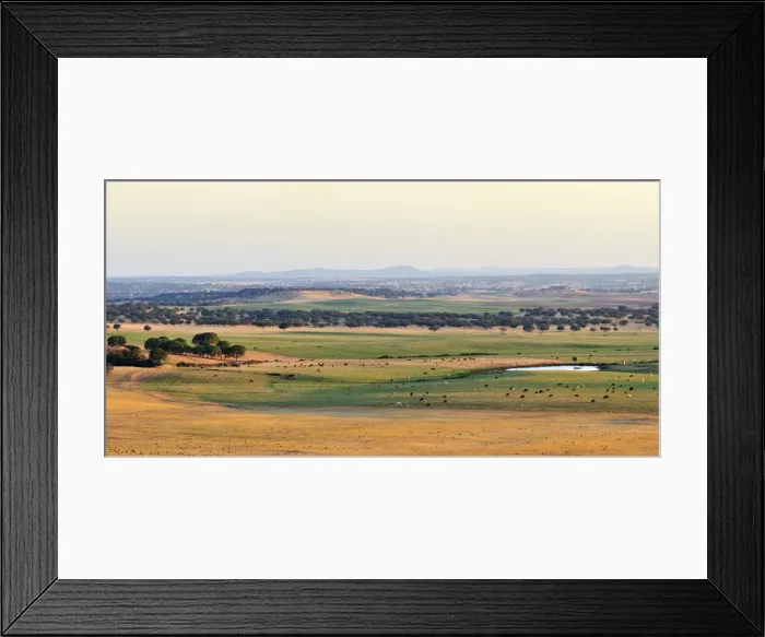 Framed Print : The vast plains of Alentejo near Avis, Portugal Framed Print : The vast plains of Alentejo near Avis, Portugal