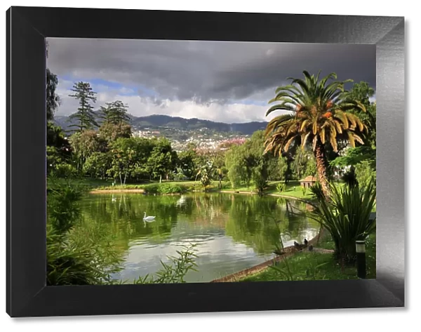 Santa Catarina gardens. Funchal, Madeira. Portugal