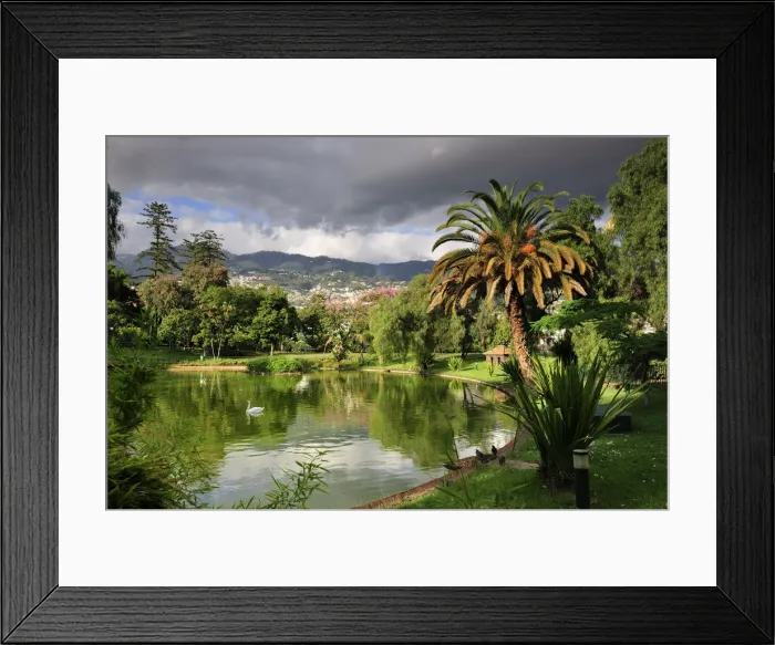 Framed Print : Santa Catarina gardens. Funchal, Madeira. Portugal Framed Print : Santa Catarina gardens. Funchal, Madeira. Portugal