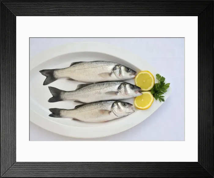 Framed Print : Bass Framed Print : Bass
