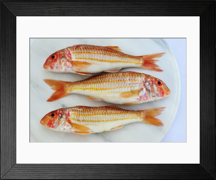 Framed Print : Red mullets. Portugal Framed Print : Red mullets. Portugal