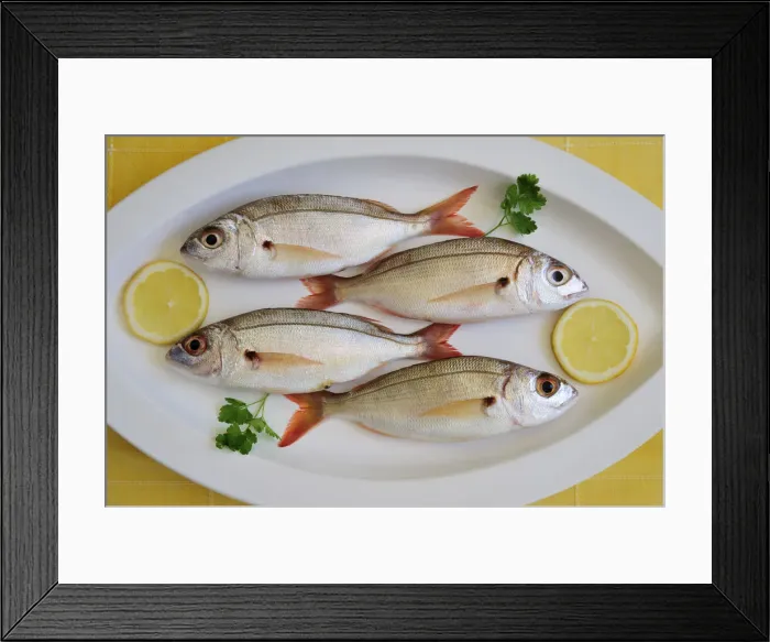 Framed Print : Breams Framed Print : Breams