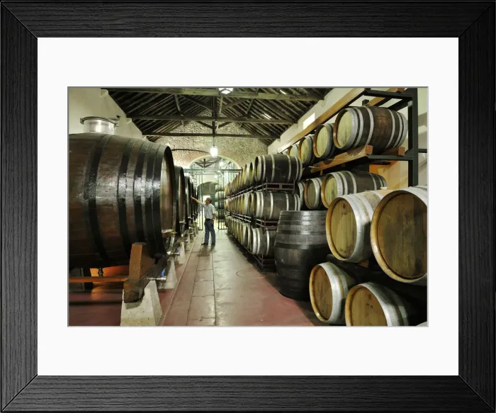 Framed Print : Venancio da Costa Lima wine cellars. Quinta do Anjo, Portugal Framed Print : Venancio da Costa Lima wine cellars. Quinta do Anjo, Portugal
