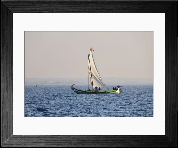 Framed Print : A traditional boat (moliceiro) in the Aveiro river. Portugal Framed Print : A traditional boat (moliceiro) in the Aveiro river. Portugal