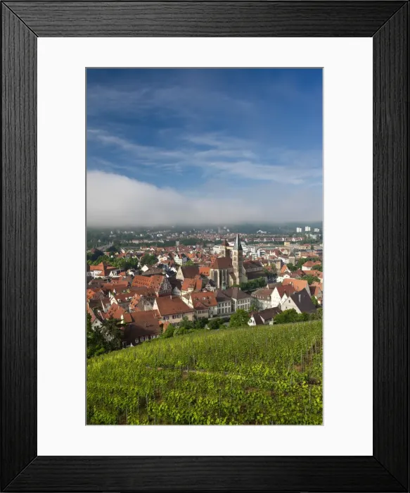 Framed Print : Germany, Baden-Wurttemberg, Esslingen-Am-Neckar, town view from vineyards Framed Print : Germany, Baden-Wurttemberg, Esslingen-Am-Neckar, town view from vineyards